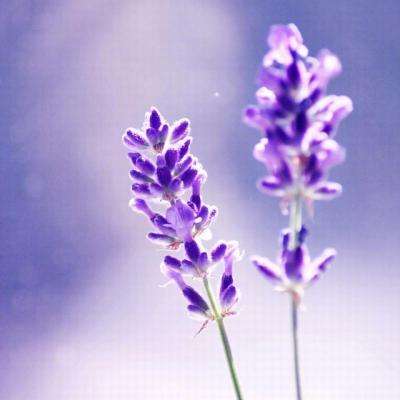 乐动体育app全站下载